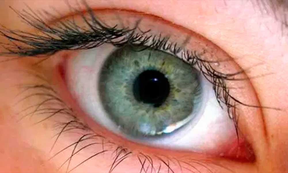 Cerebro se asegura de que la visión continúe cuando parpadeamos